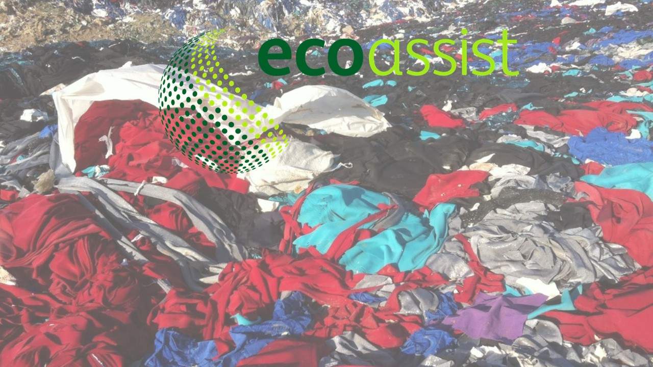 blog ecoassis 1