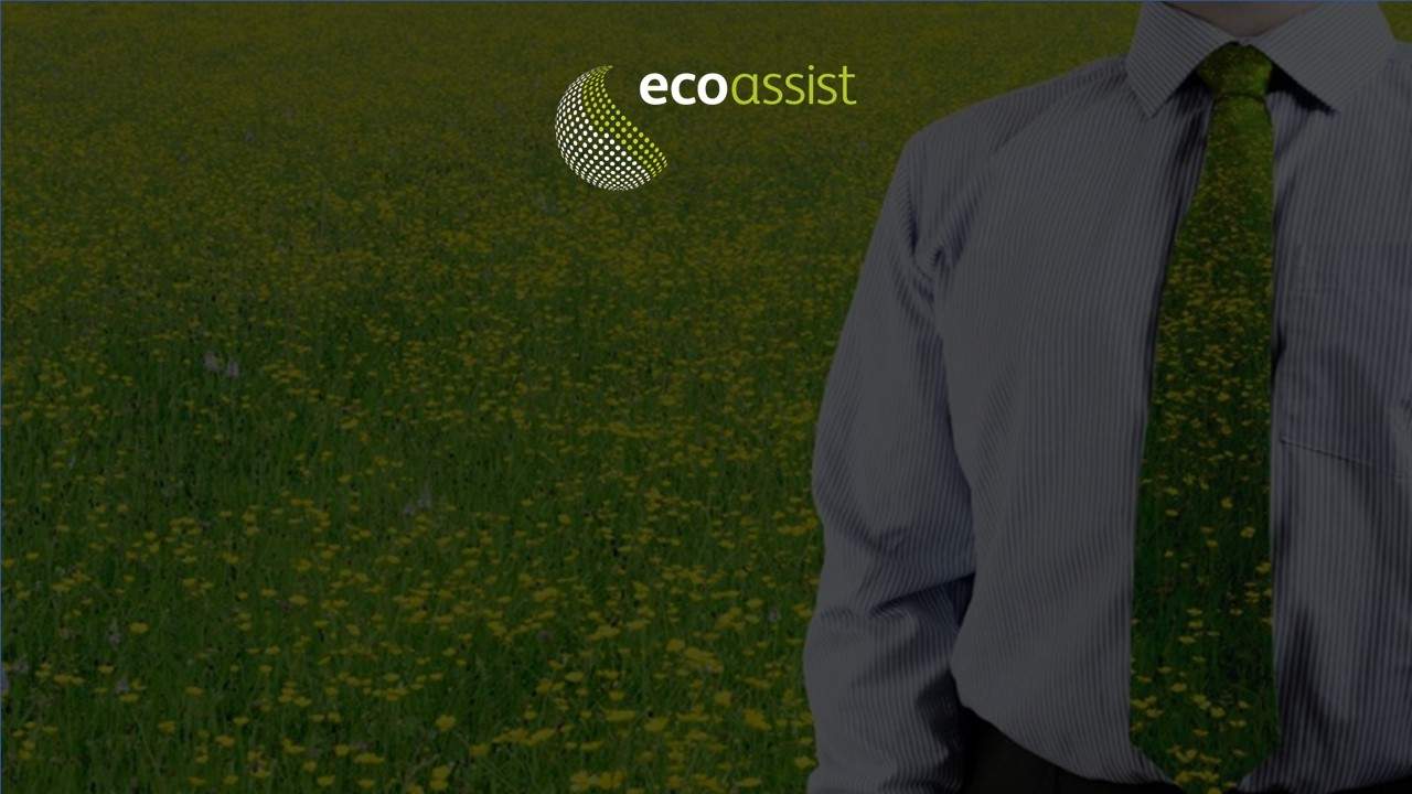 o que e consultoria ambiental