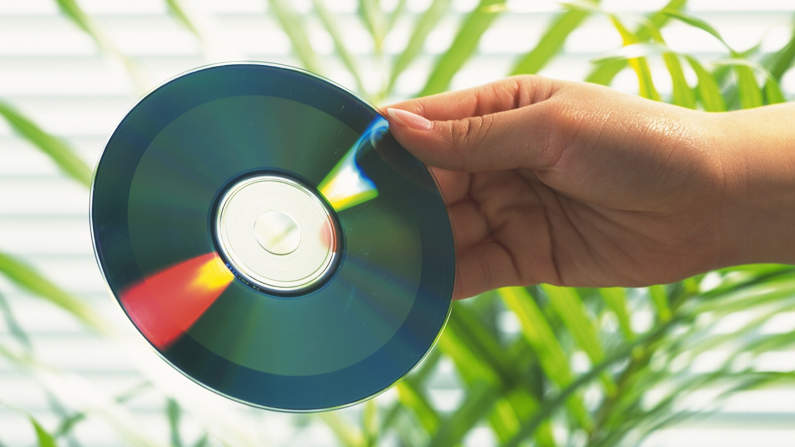 Blu ray como descartar ecoassist 1