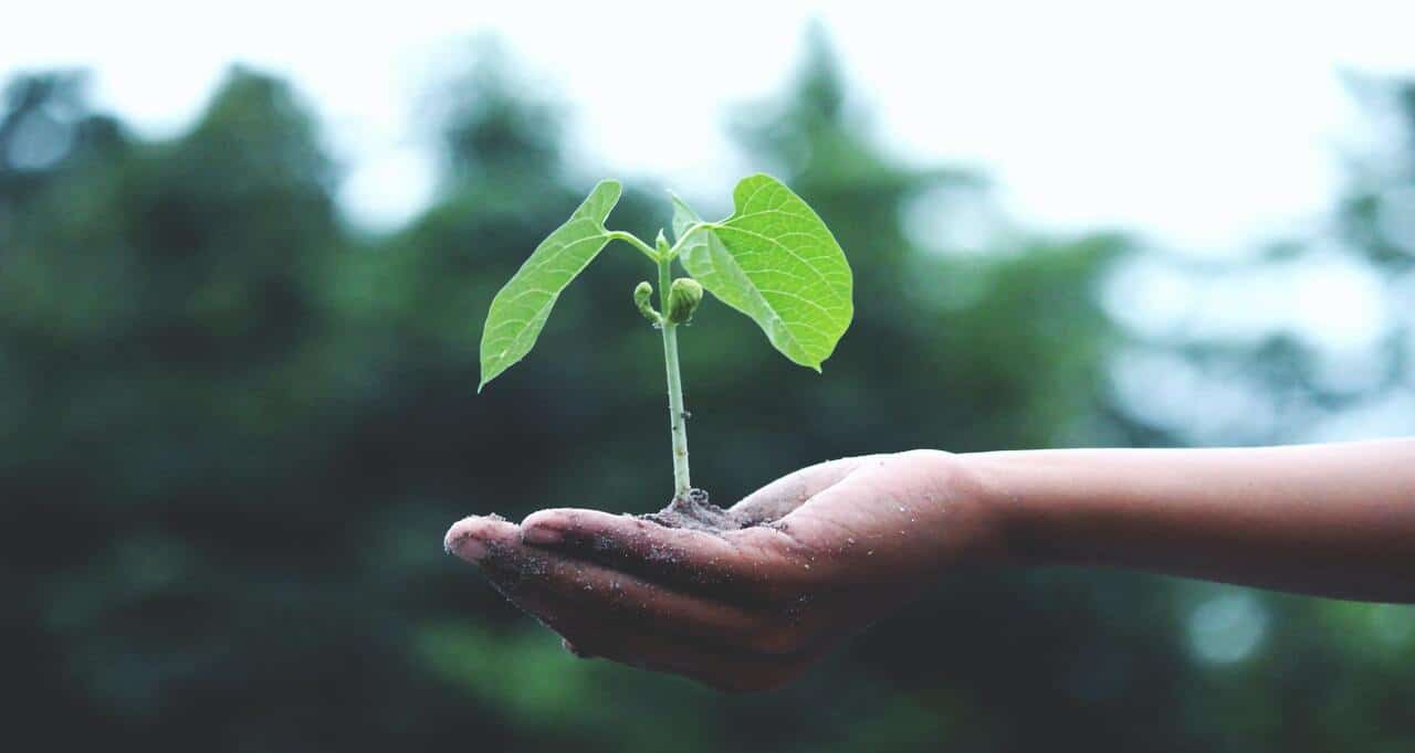 22 06 22  blog esg e descarte e descarte ecologico 1