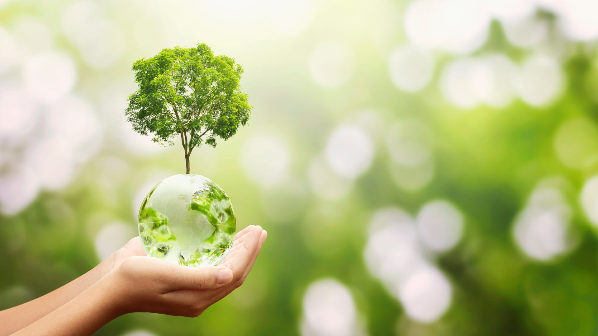 vecteezy tree growing from globe 1309844 5 1
