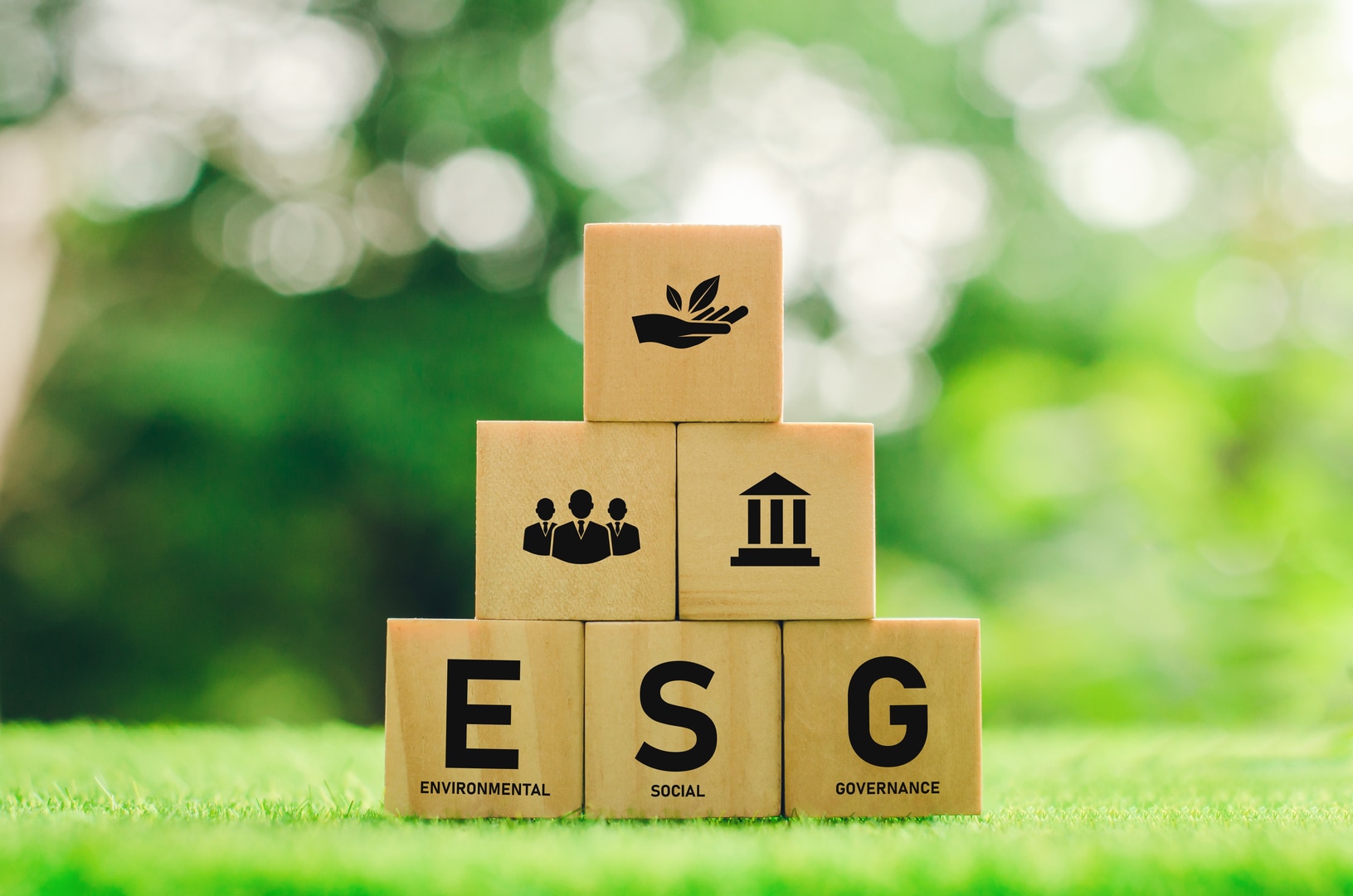 vecteezy environmental conservation and sustainable modernization of  560 1
