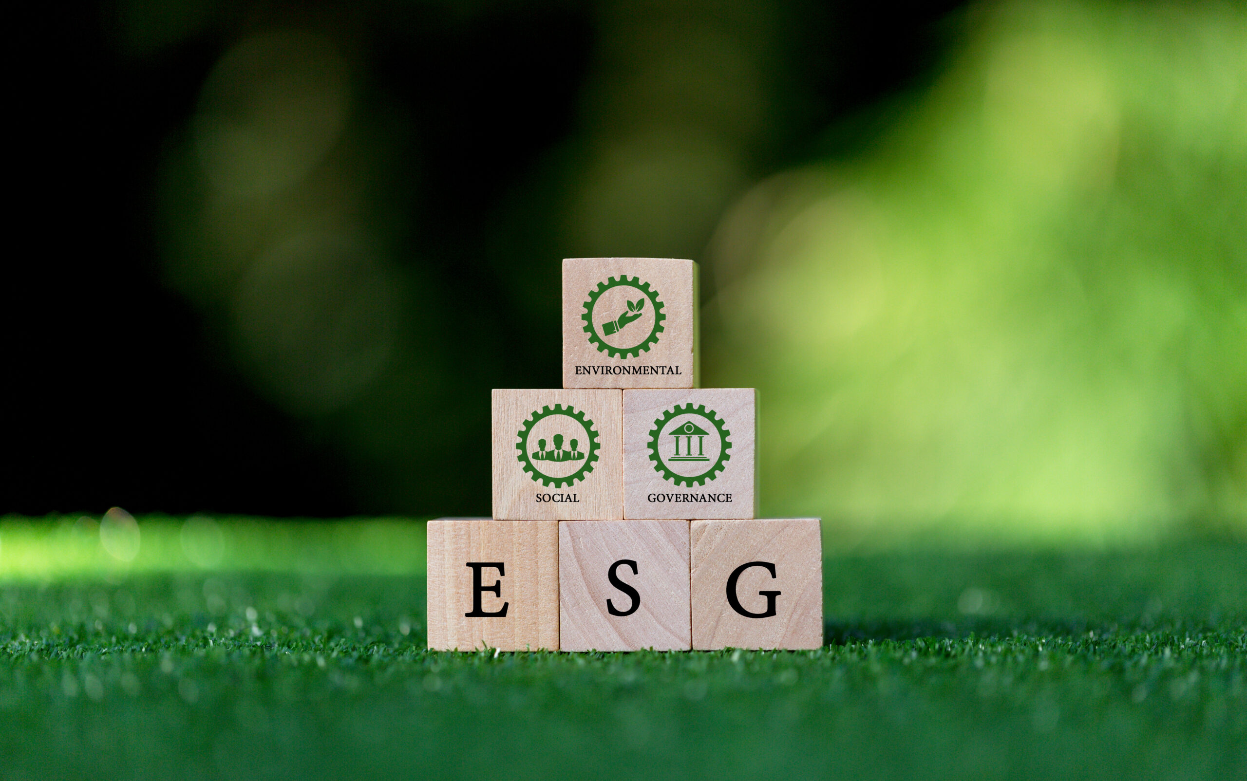 vecteezy esg concept of environmental social and governance words 15902744 651 1 scaled 1