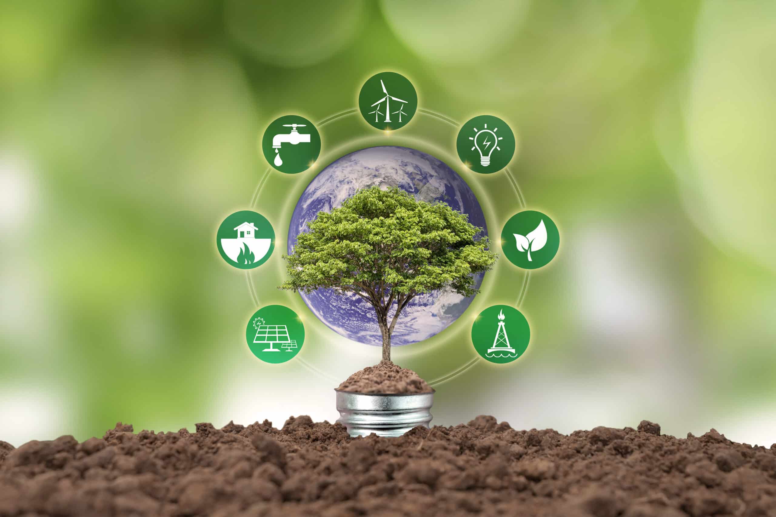 vecteezy small tree growing on the energy saving lamp and 6671886 181 5 scaled 1