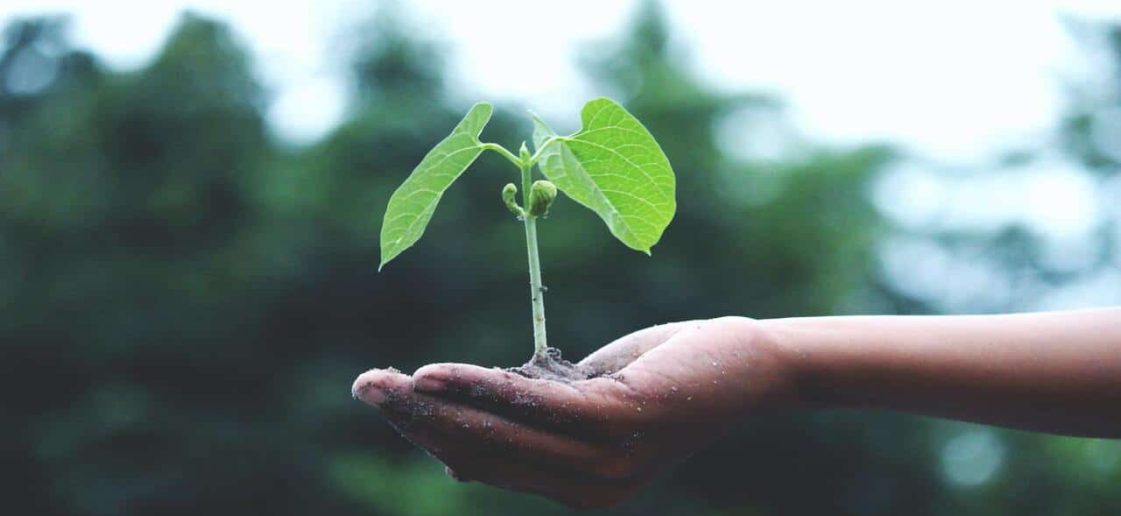 22 06 22  blog esg e descarte e descarte ecologico 1