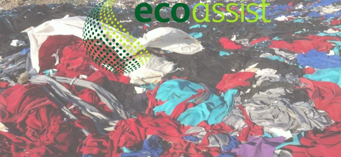 blog ecoassis 1