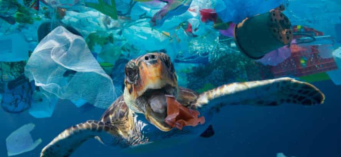 julho sem plastico