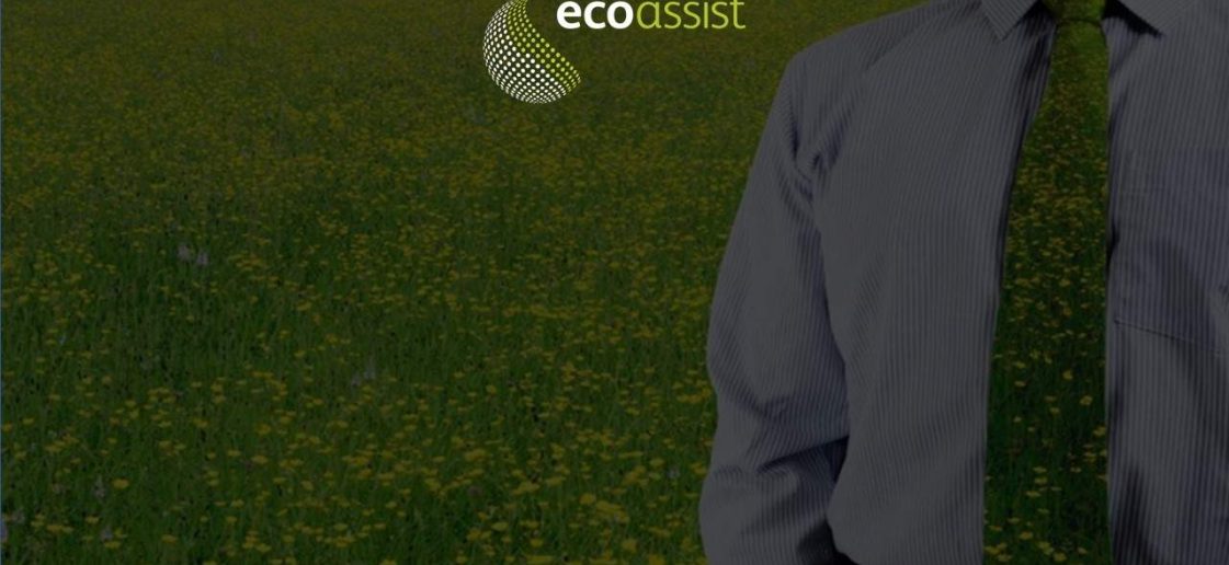 o que e consultoria ambiental