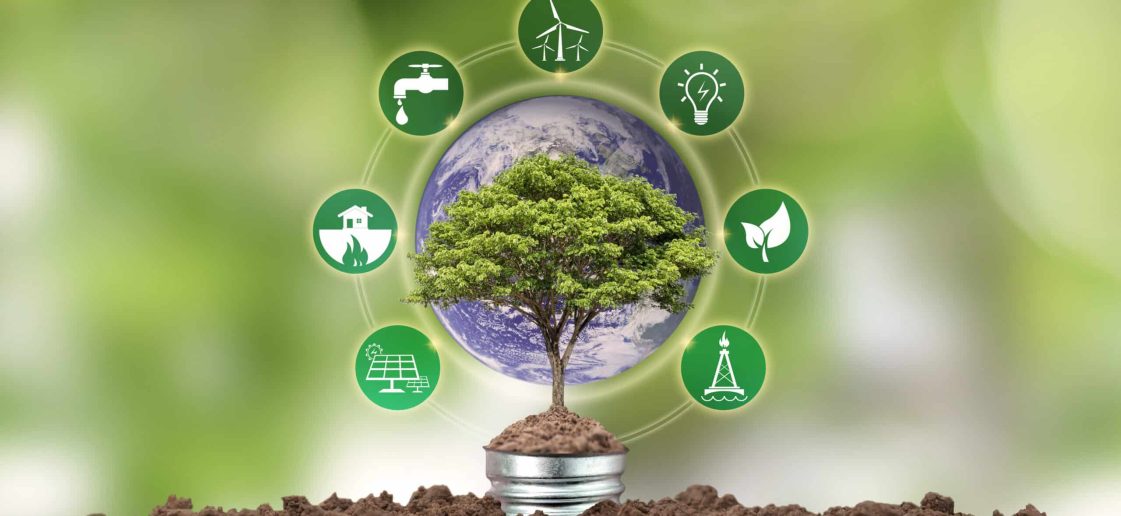 vecteezy small tree growing on the energy saving lamp and 6671886 181 5 scaled 1