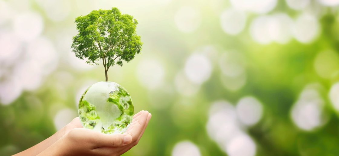 vecteezy tree growing from globe 1309844 5 1